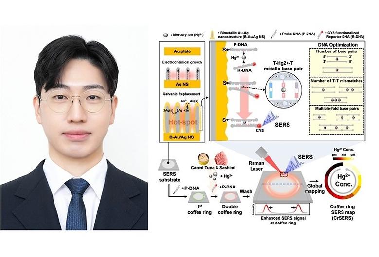 류준석 교수 연구팀, DNA 최적화 연구 통해 독성 물질 검출 기술 개발